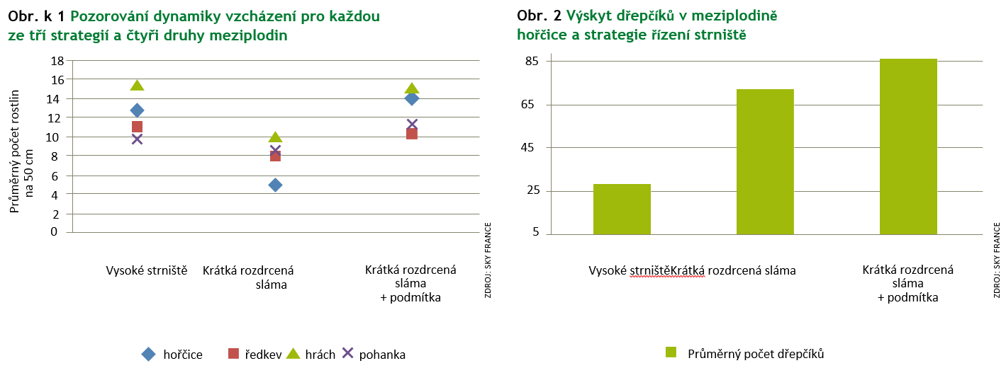 Výstřižek CZ 1.PNG